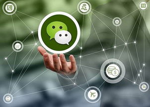 上海微信自動(dòng)營(yíng)銷軟件制造廠家 軟件銷售的全方位解析
